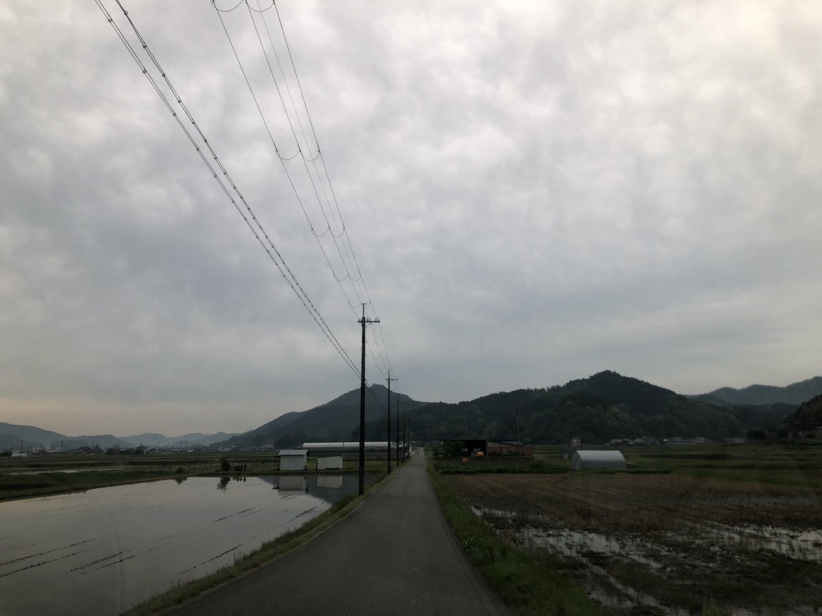 人生いろいろ tweet media
