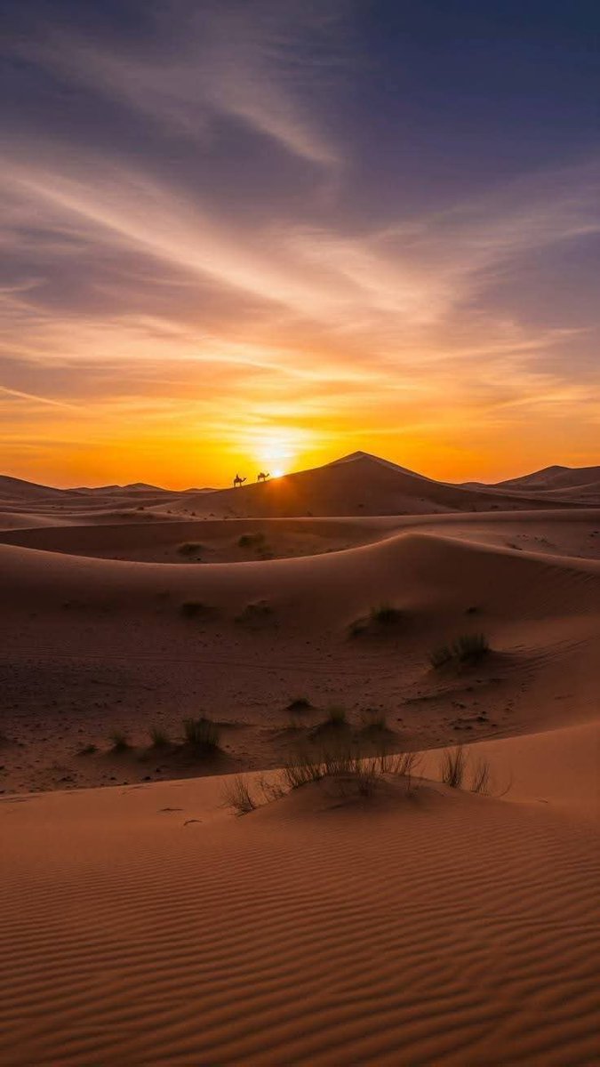 travelinginmo's tweet image. Marrocos 🇲🇦 Um país tão tradicional quando contemporâneo como o Marrocos, oferece inúmeras opções na hora de programar sua viagem.Seja nas cidades, nas aldeias berberes, ou no deserto do Saara, belas paisagens naturais, aliadas a hotéis típicos ou rústicas pousadas,#travel #trip