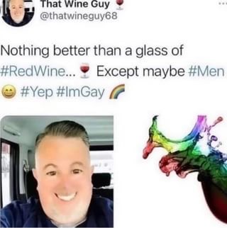 MissoCopycat's tweet image. #RedWine… 🍷#Yep #ImGay 🌈