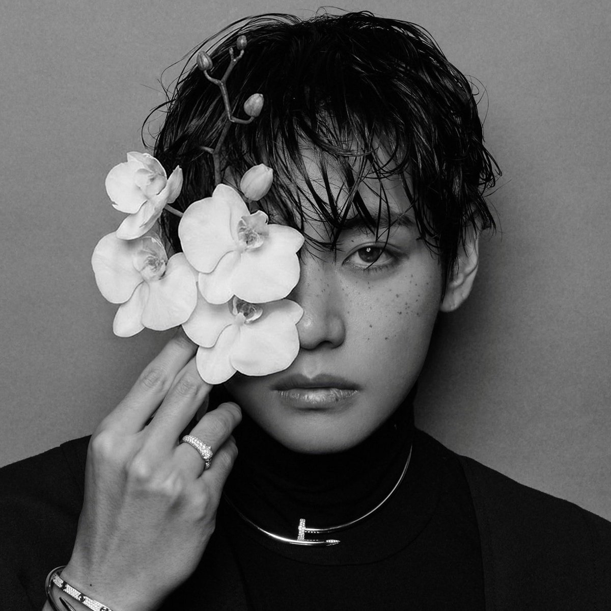 TAEHYUNG TUESDAY tweet media