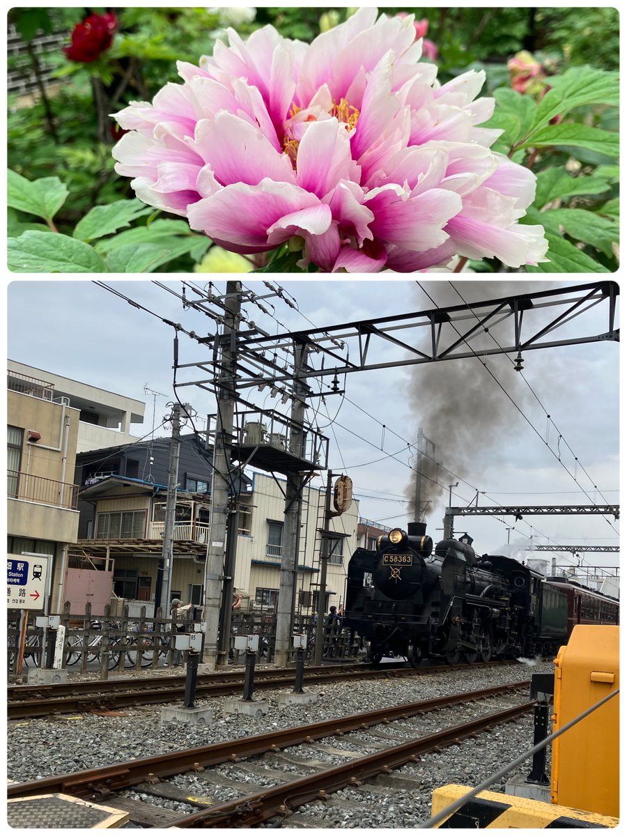 港マリ子🌸♪✩⋆*॰¨̮⋆｡˚✩ tweet media