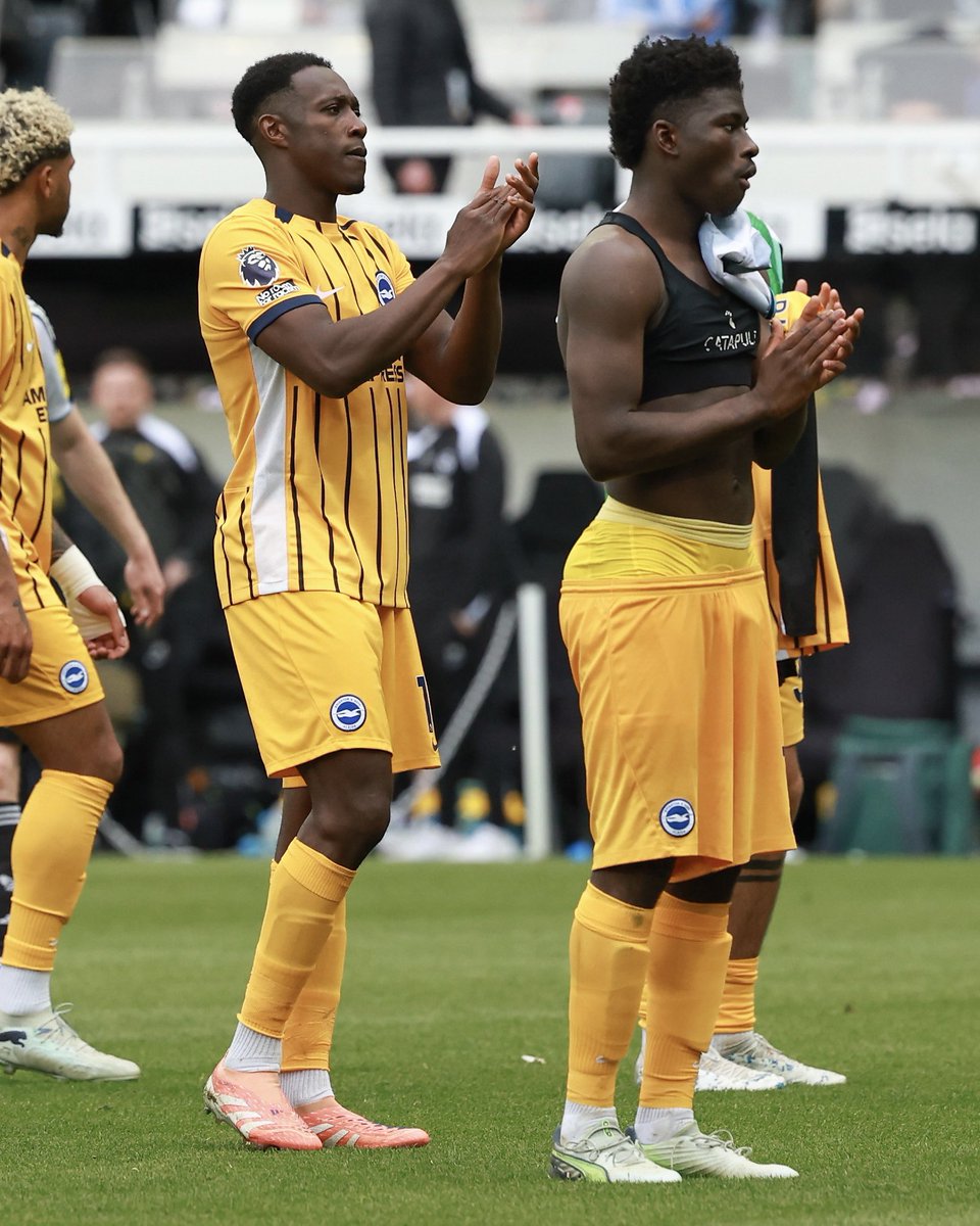 Brighton & Hove Albion tweet media