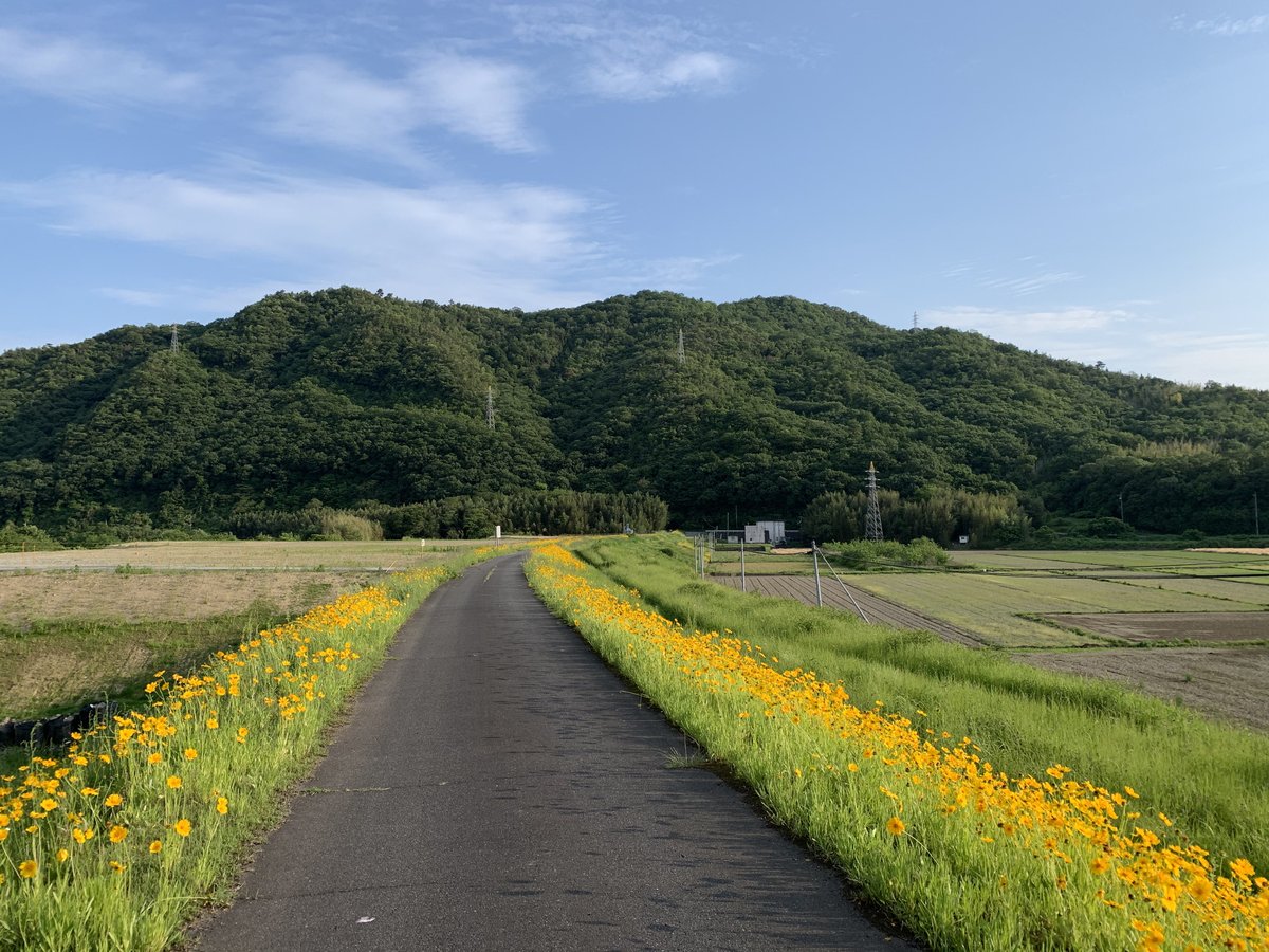 のらかめ🐢本能覚醒タロット✨ライトワーカー✨ tweet media