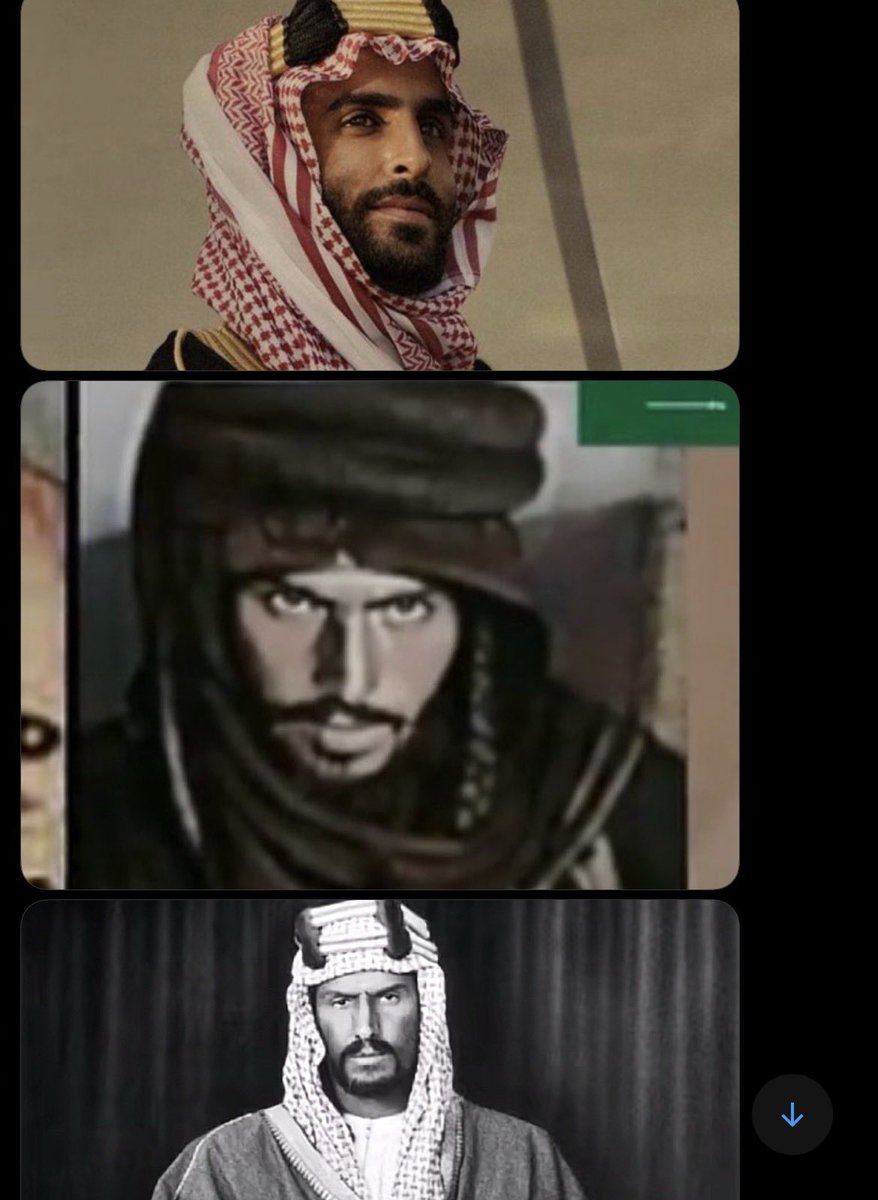 🐪 🇸🇦 tweet media