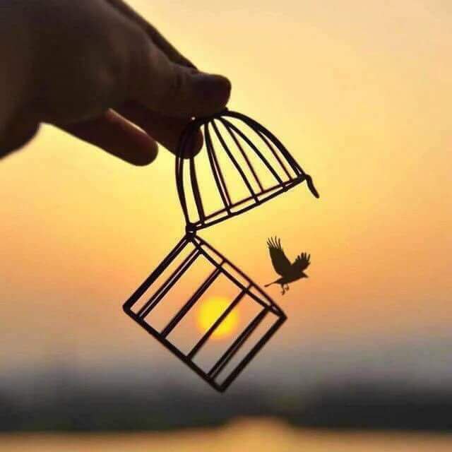 السيد .....الحساب الجديد tweet media