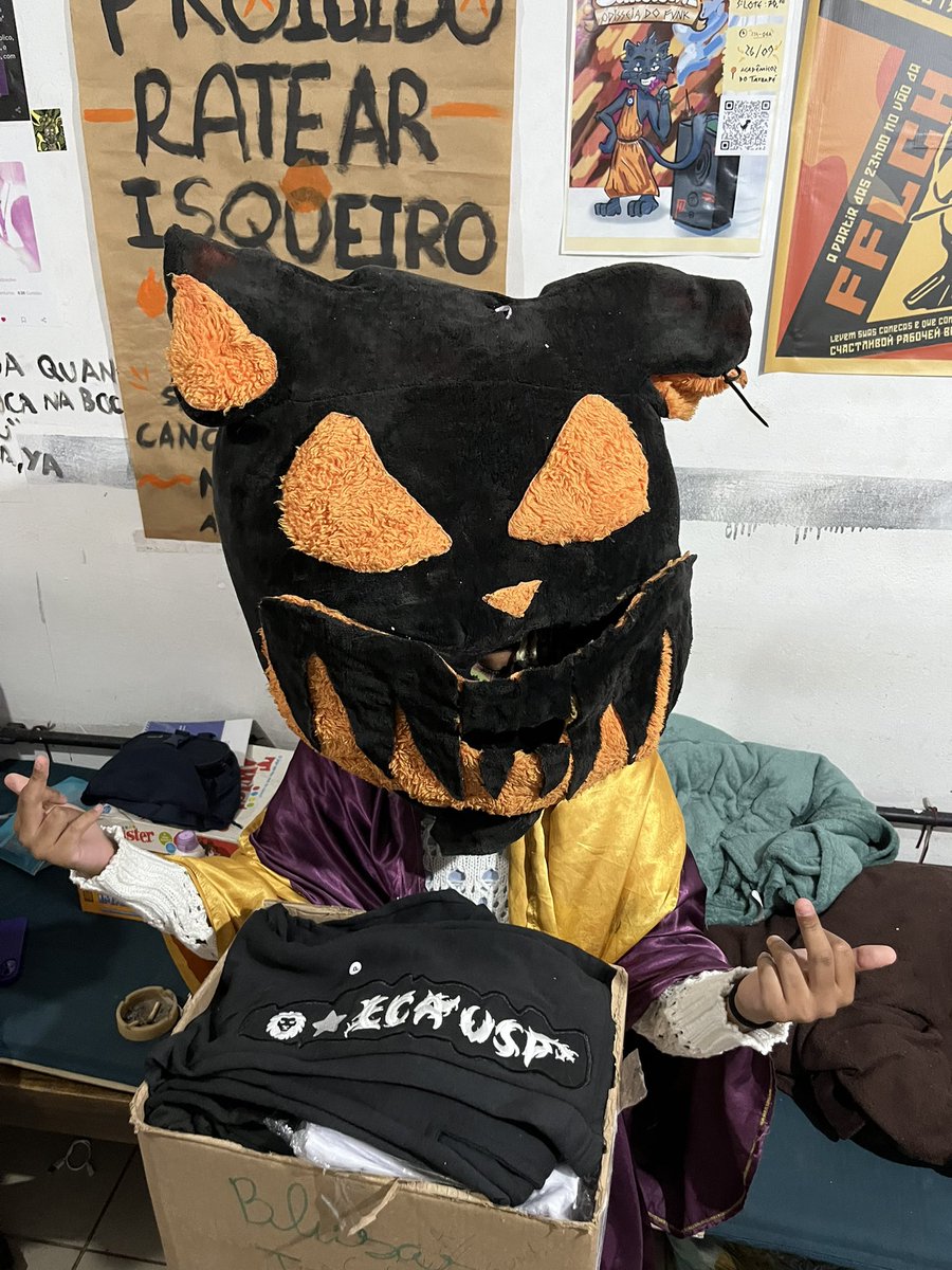 gato preto tweet media