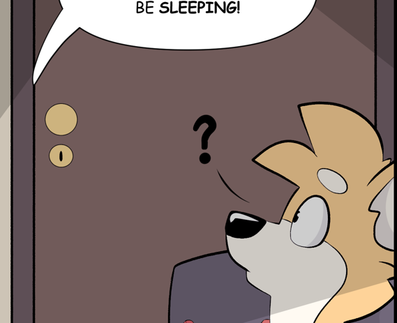 The Ferret Tube tweet media