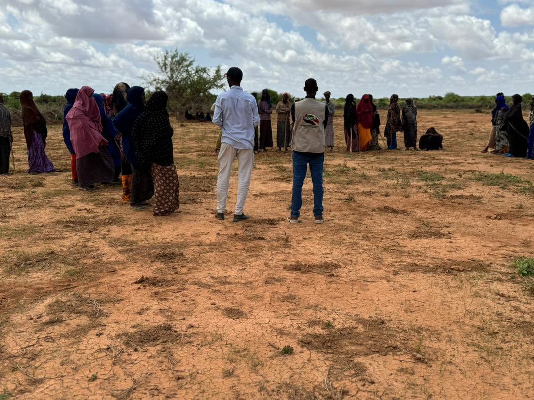 MARDOORGANIZAT1's tweet photo. Climate-resilient livelihoods in SW Somalia 🌱
MARDO, with the Ministry of Agriculture &amp; Mahadey Gure, visited Haboon &amp; Hilaac sites.
Farmers are preparing land with strong women’s participation.
Focus: progress, challenges &amp; productivity solutions.
#MARDO #Somalia https://t.co/hubdug0ixr