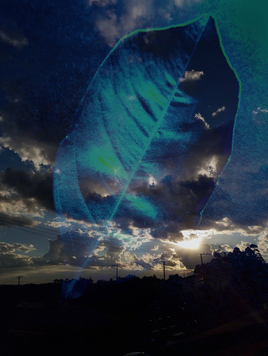 donnainnero's tweet image. #artecontemporanea
#visualart