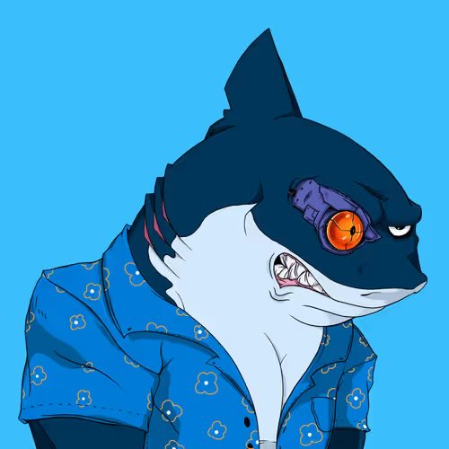 MC_MA ✳️🦈 tweet media