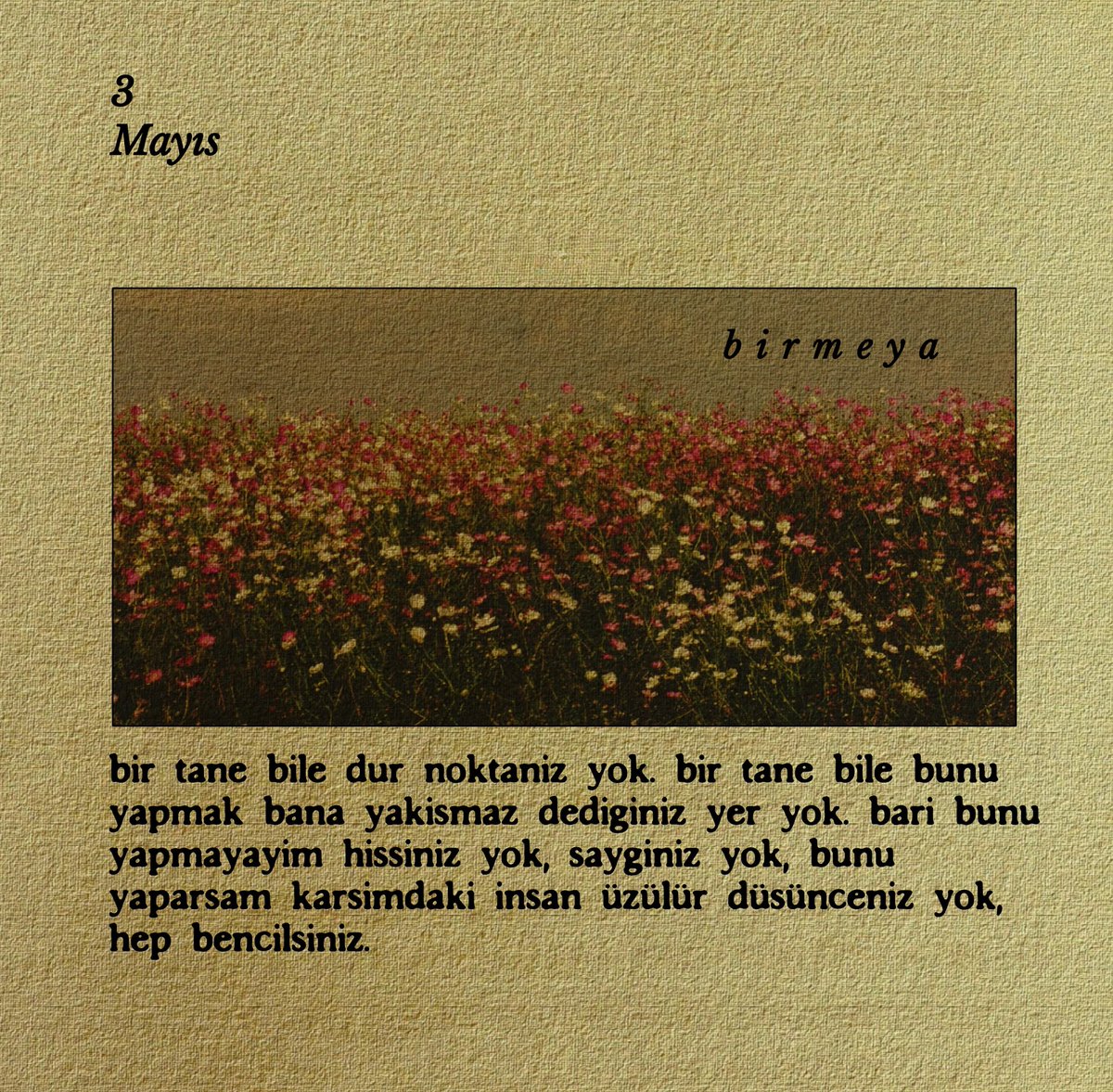 meya. tweet media