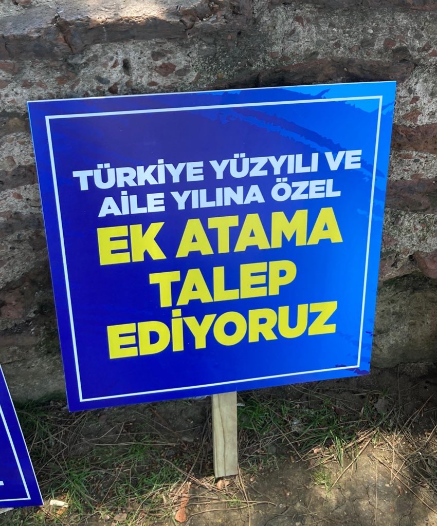 Beyza tweet media