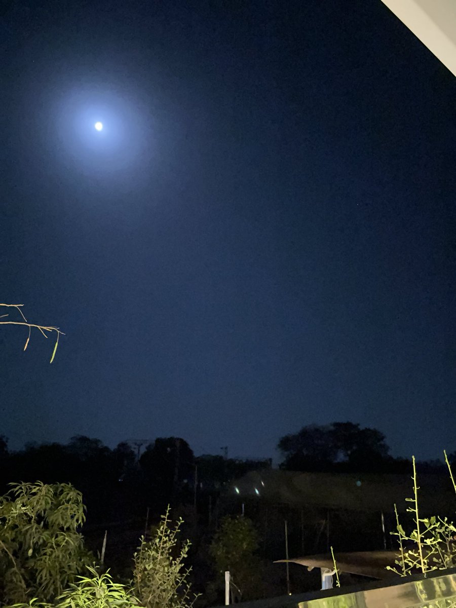 DesiUrbanist's tweet photo. Khoya Khoya chand, khula aasmaan 🎶 🥰
#ProCamera https://t.co/ENLCDJO25P