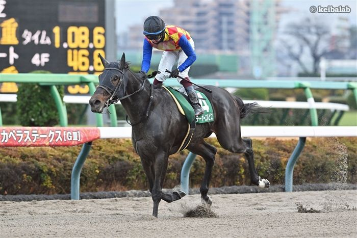 競馬ラボ tweet media