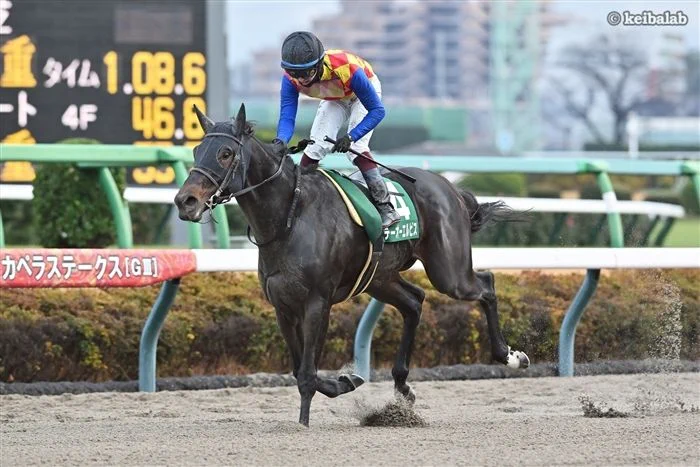 テーオーエルビスが米G1チャーチルダウンズSで日本馬初の快挙達成