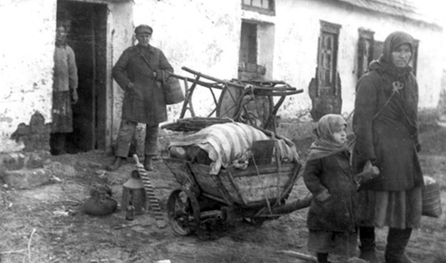 The disaster of the Soviet agricultural collectivisation program is a ...