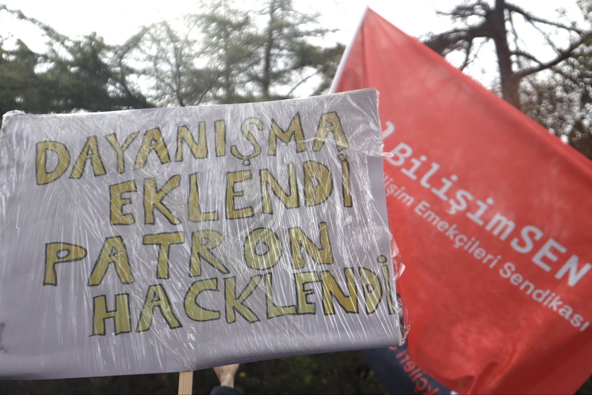 bilisimsenorg tweet media