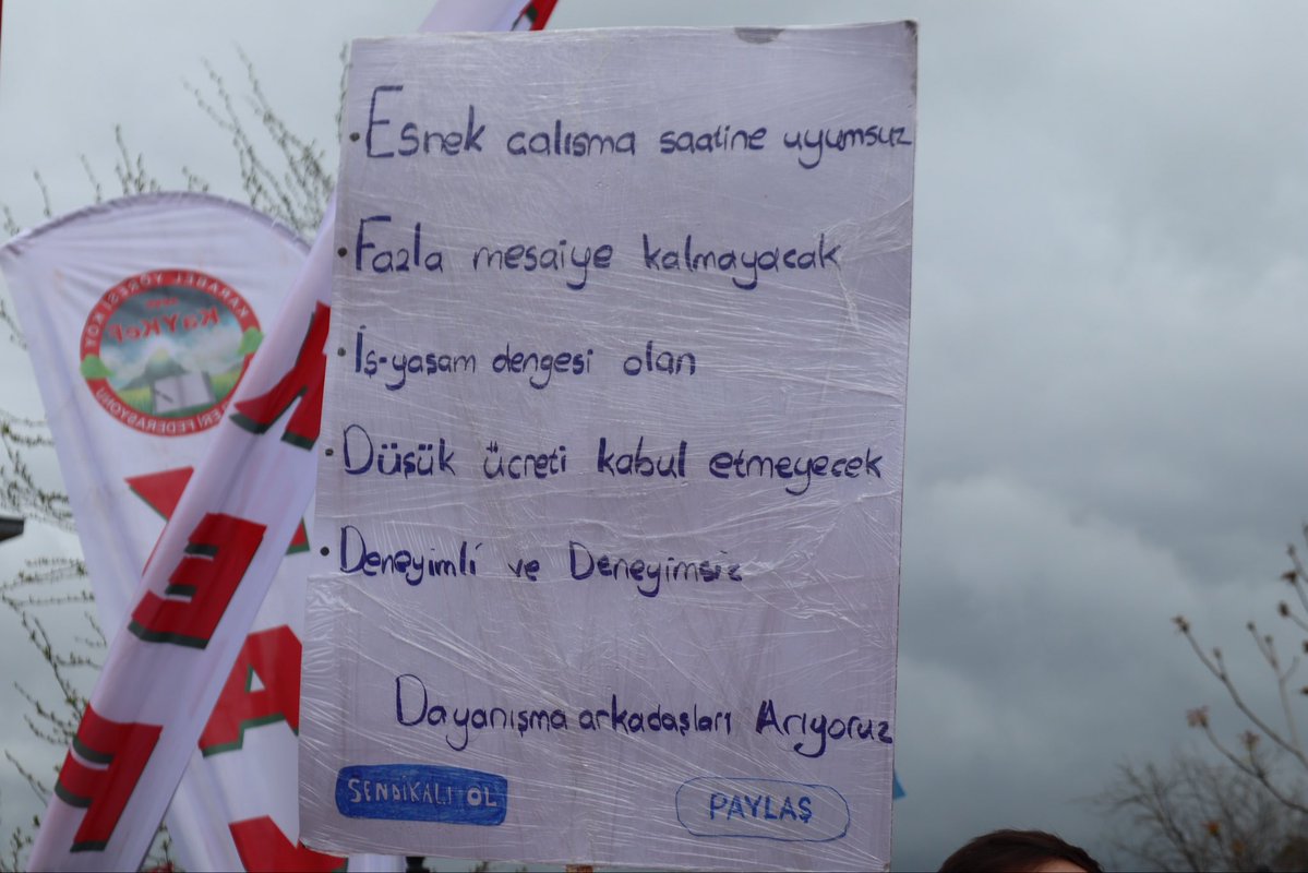 bilisimsenorg tweet media