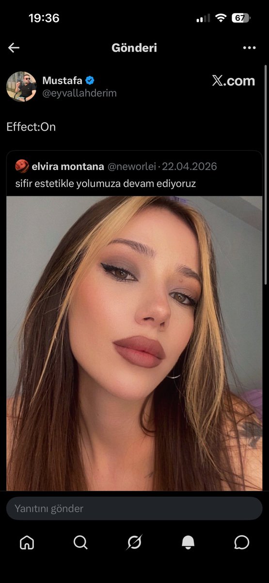 Birkan tweet media