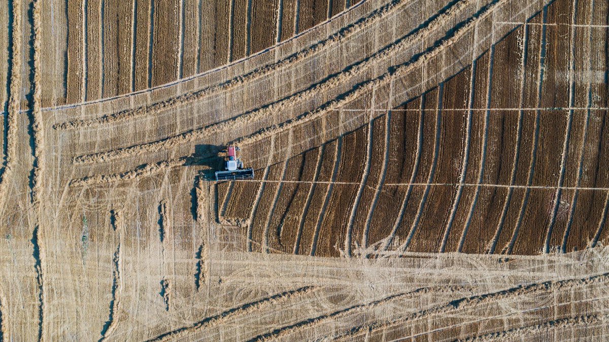 kavout's tweet image. Agri-tech is surging! New tech, AI, &amp;amp; policy shifts are driving a 22.97% CAGR. Is this sector finally ripe for your portfolio?
#AgriTech #PrecisionFarming

kavout.com/market-lens/is…