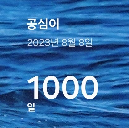 ❤️씬스❤️ tweet media
