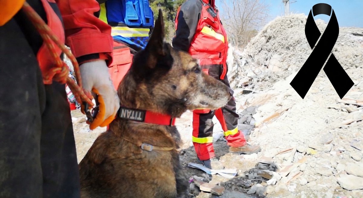 Bomberos GIRECAN. USAR Light & K9 Team 🇪🇸 tweet media