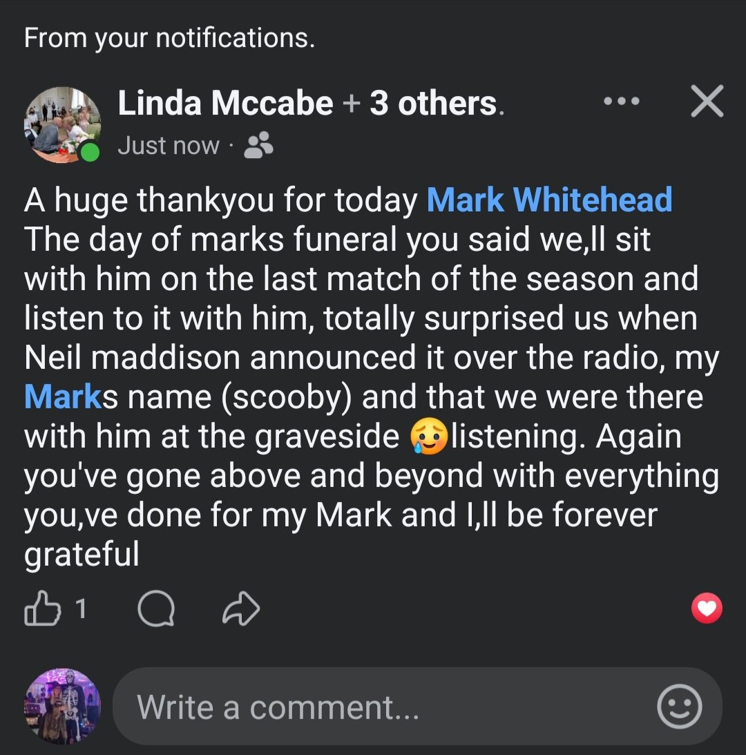 Mark Whitehead tweet media