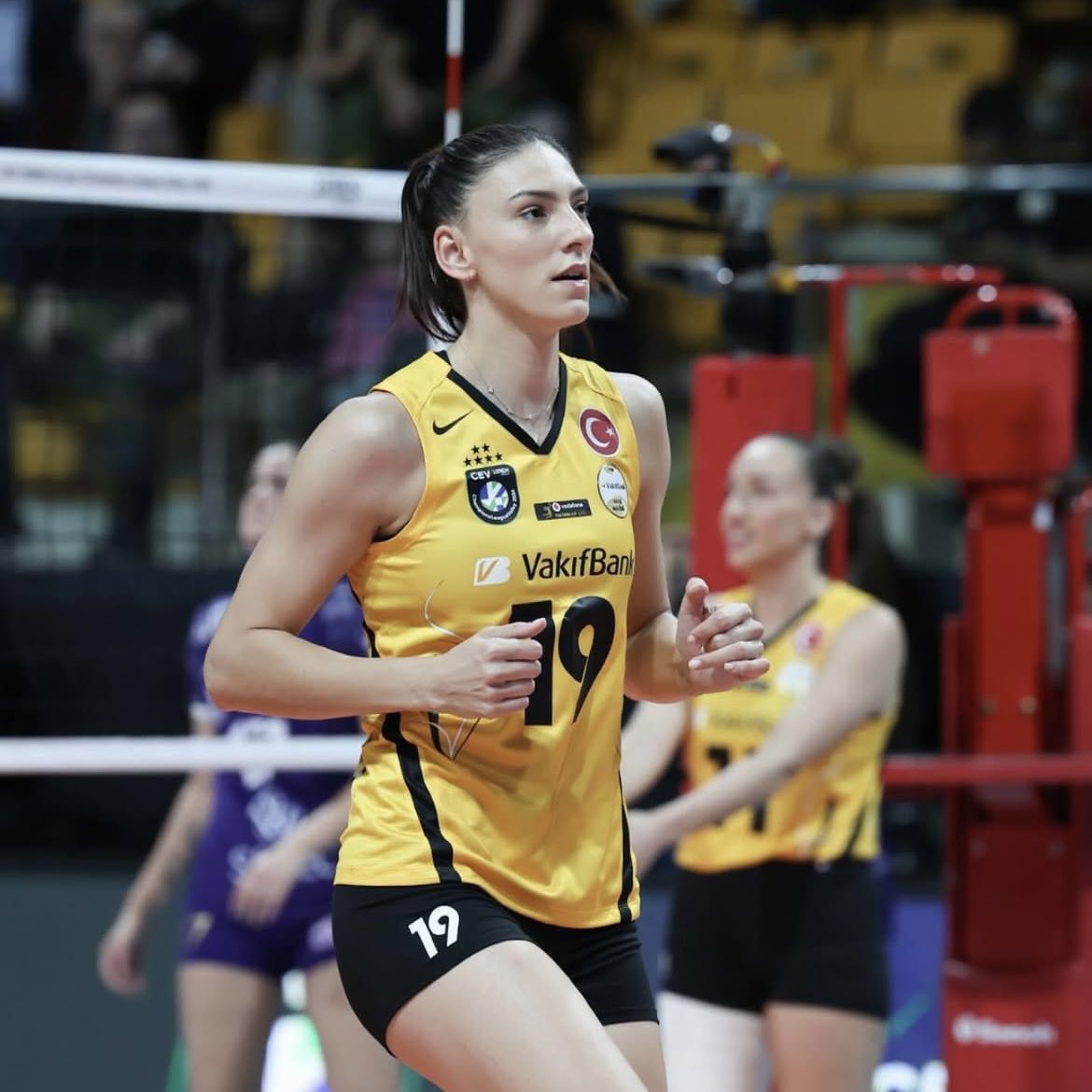 Volley Daily tweet media