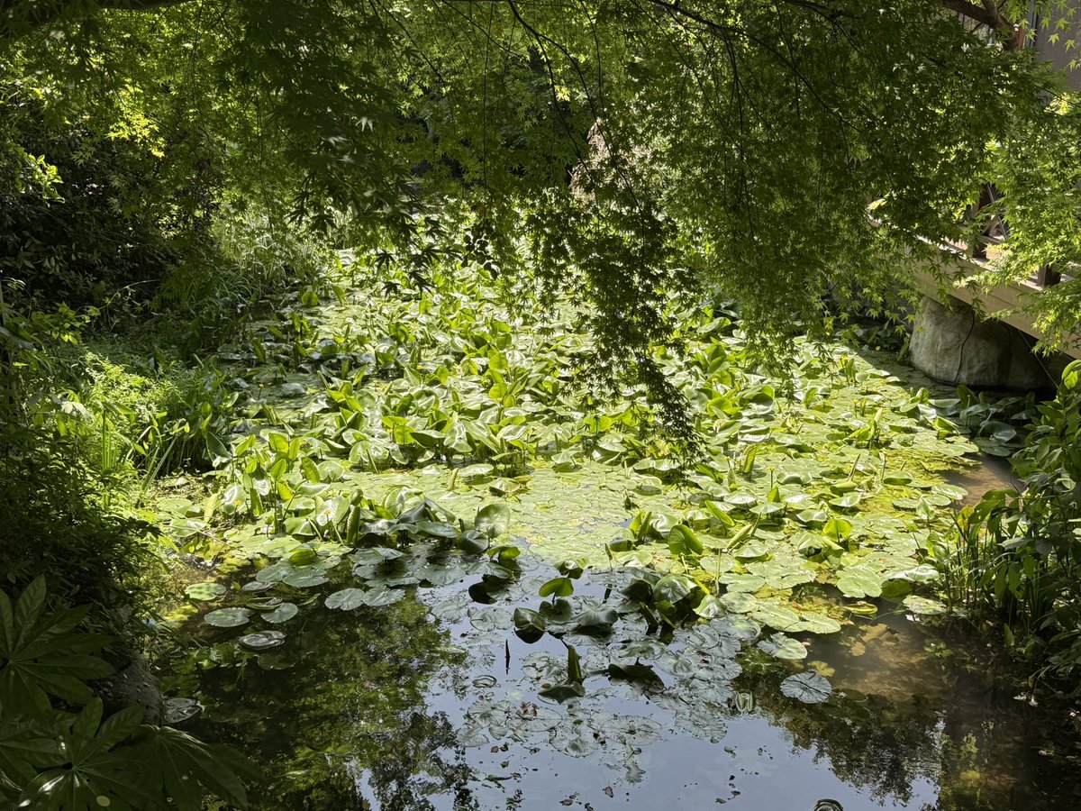 YOUYNOTME's tweet photo. greengreen https://t.co/qg535I5P1t