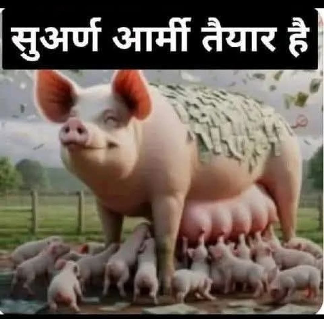 Virtual Duniya tweet media