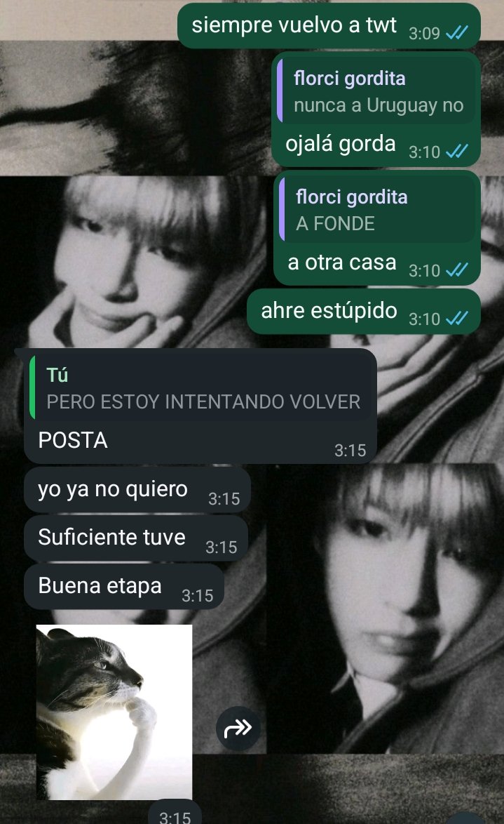 thovlt's tweet photo. acá la tenían diciendo que nunca iba a volver @guckmin TODAS IGUALES TODAS MIENTEN https://t.co/pmCqPdetMZ