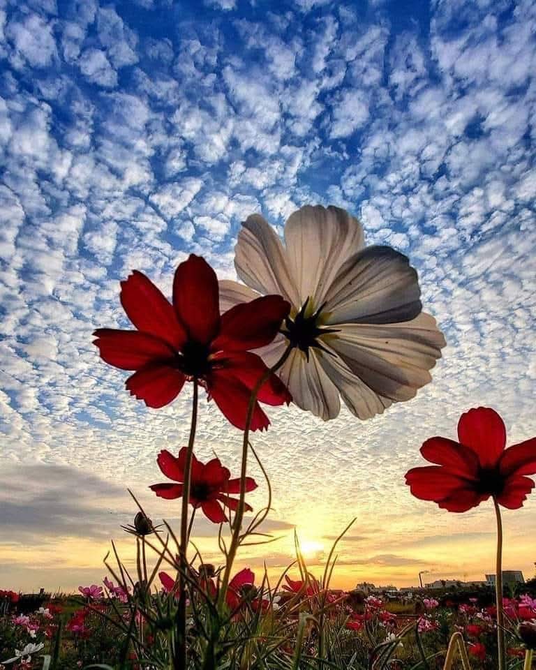 Marika Lizi 💥✴️✨ tweet media