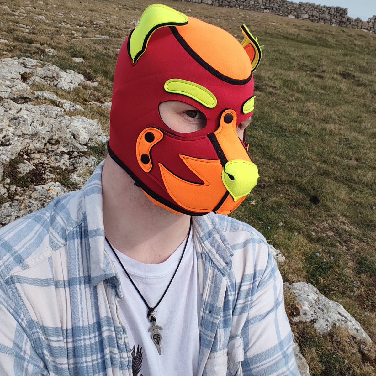 ToastyTaz's tweet photo. I'm out exploring, come catch me 😝
#pupplay https://t.co/zIJbvUriAs