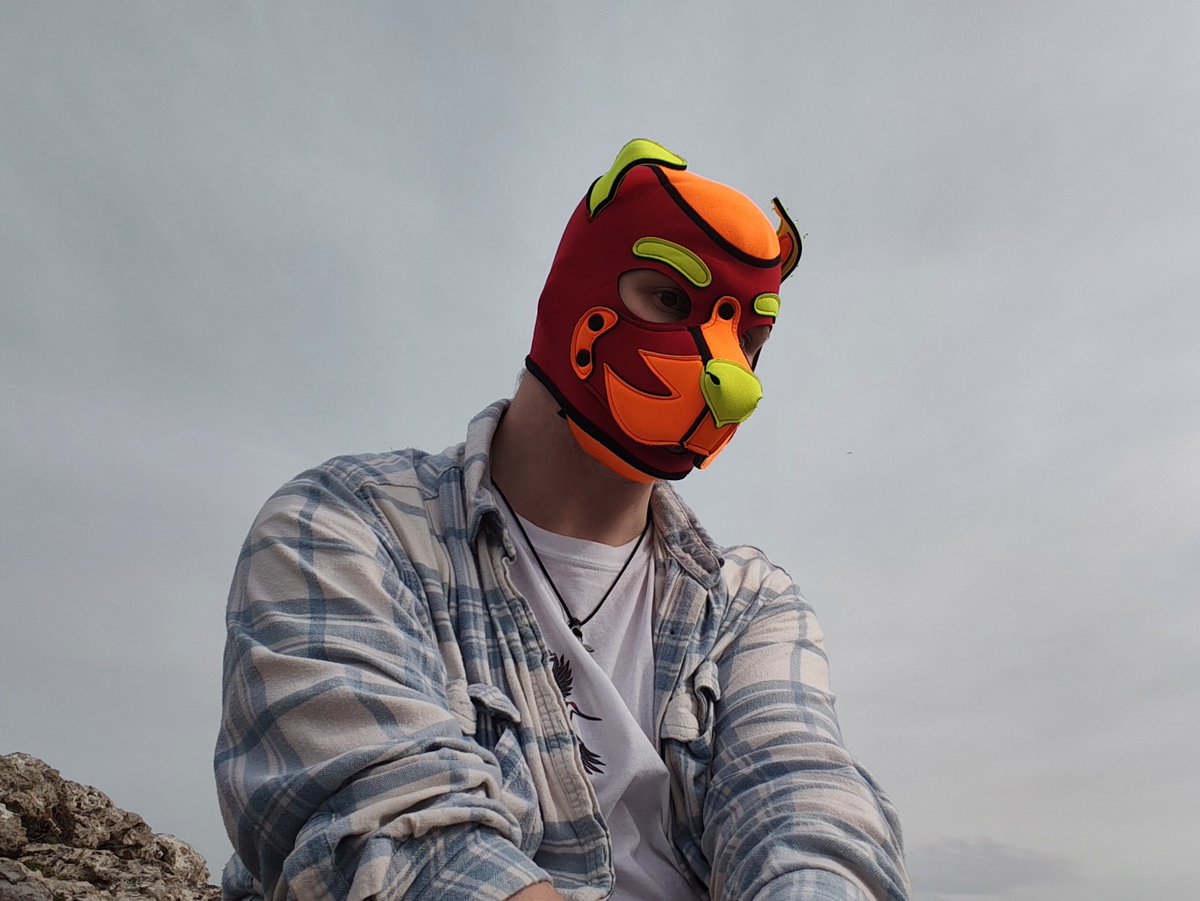 ToastyTaz's tweet photo. I'm out exploring, come catch me 😝
#pupplay https://t.co/zIJbvUriAs