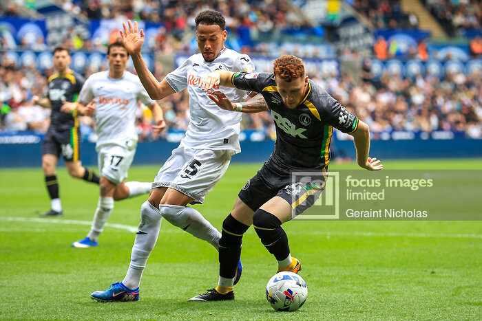 ValleyBoyPics's tweet photo. 📸⚽

@SwansOfficial v @CAFCofficial 

📸 @FocusImagesLtd https://t.co/yWQrITgcGX