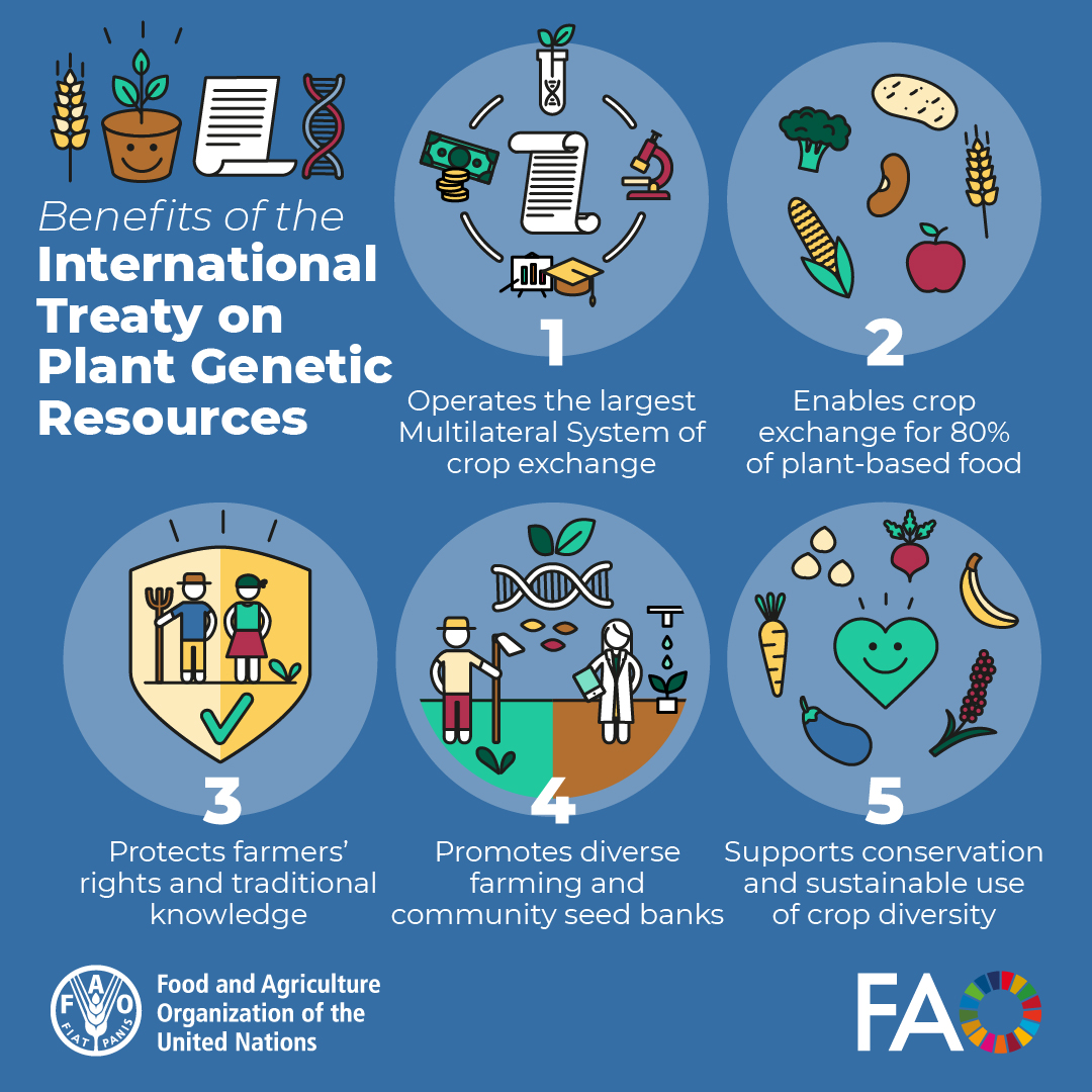FAO Knowledge tweet media