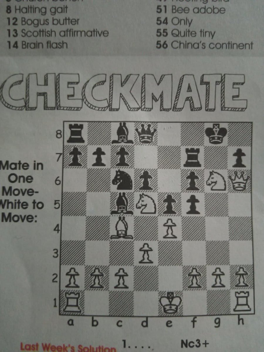 Chess Master tweet media