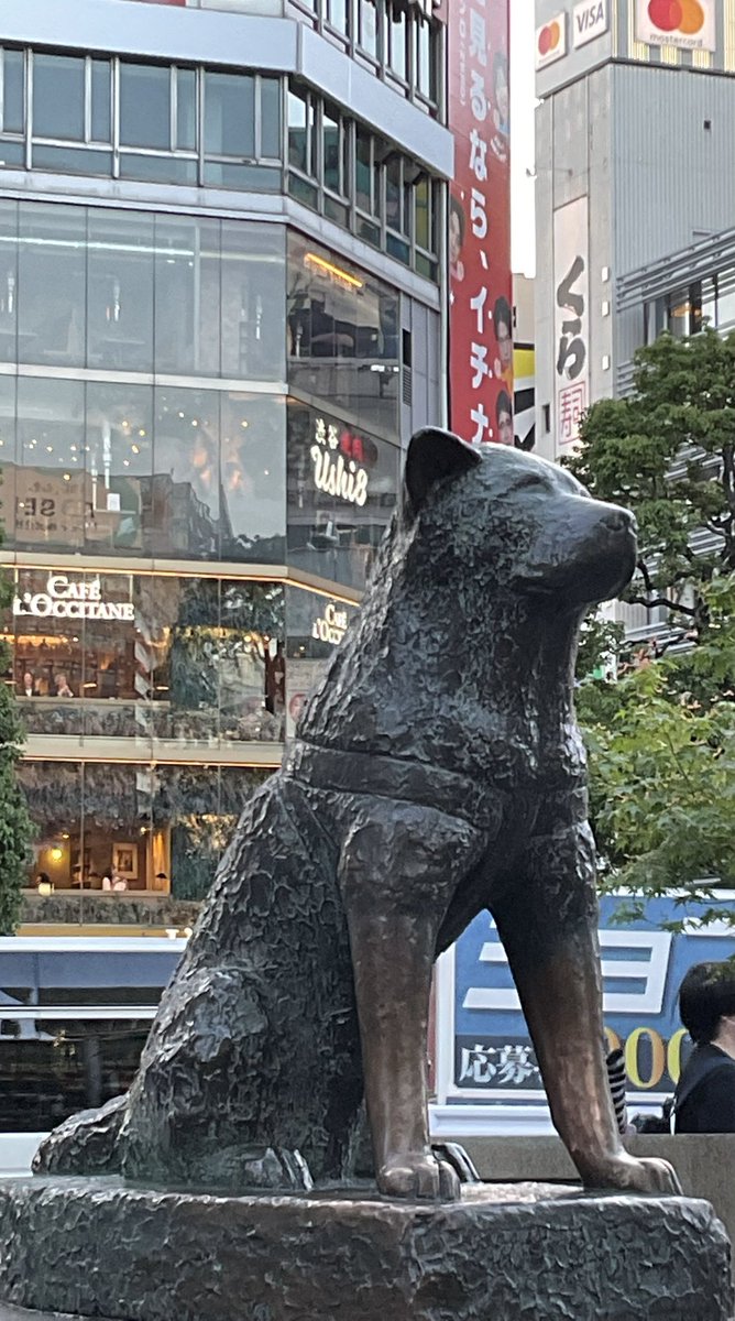 HACHİKO TÜRKİYE🇹🇷 tweet media