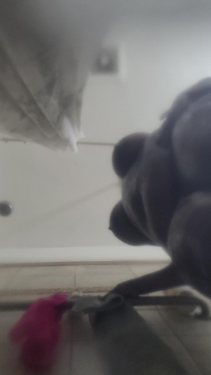 vc3l_'s tweet photo. We fuckin in the shower or what... 
#nsfw #nsfwtwtًً https://t.co/xRpO9WUXeB