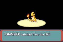 ShinyCatcher8192 tweet media