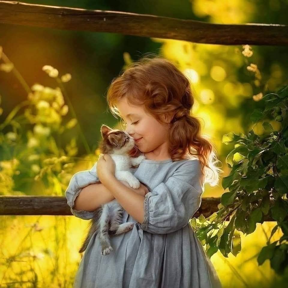انسان بسيط.. 🌺 H 🌺.. tweet media