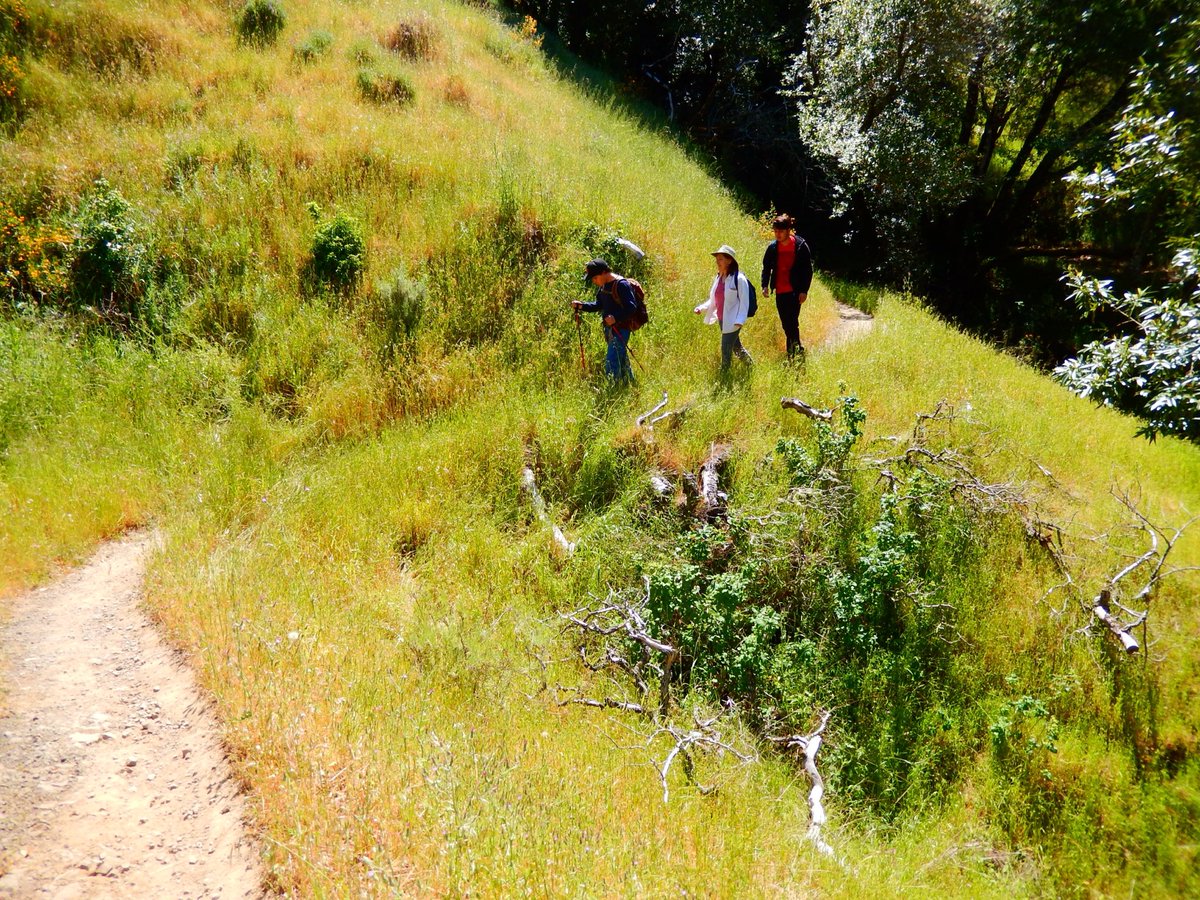HikingAutism's tweet image. Do you have favorite walking partners you can’t always be with?

“Meandering Together, Apart” Insights:

hikingautism.com/insights--hike…

#hiking #autism #nature #family #trails #walking #outdoors