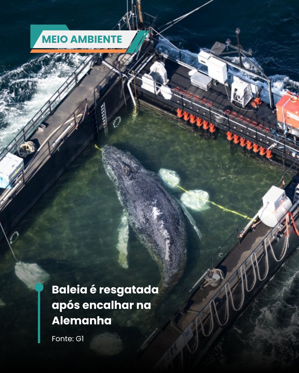 Feed Do Brasil tweet media