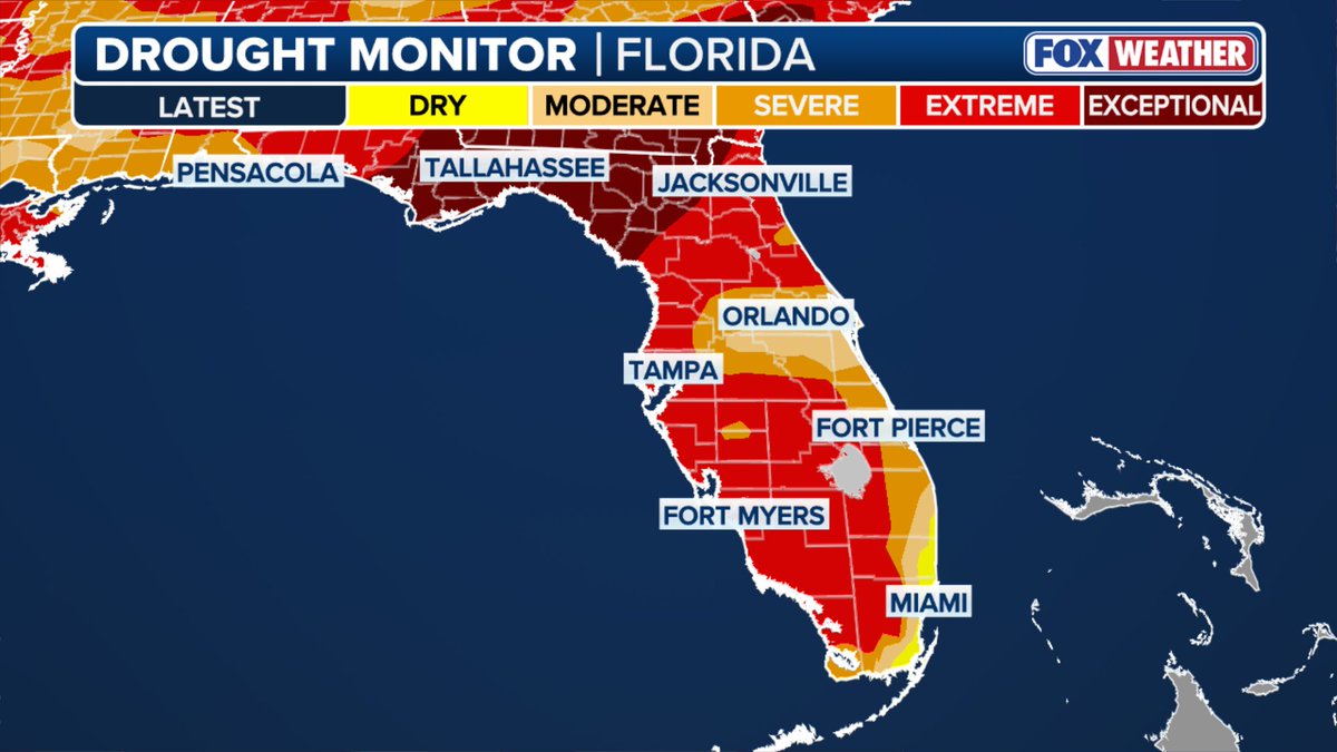 SEVERE WEATHER HQ ⚡️: Powerful storms are bringing heavy rain, gusty winds and possible tornadoes across a drought-stricken Florida throughout the day. Stick with FOX Weather for all the latest: