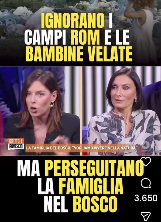 Michi tweet media