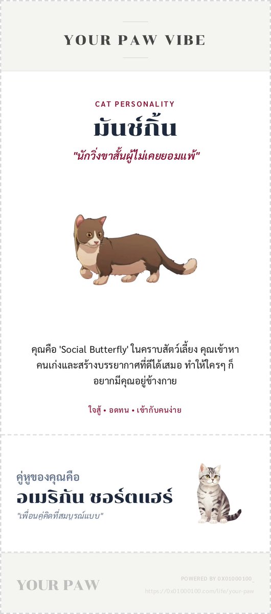 Porpor Euphonie☆🌙 tweet media