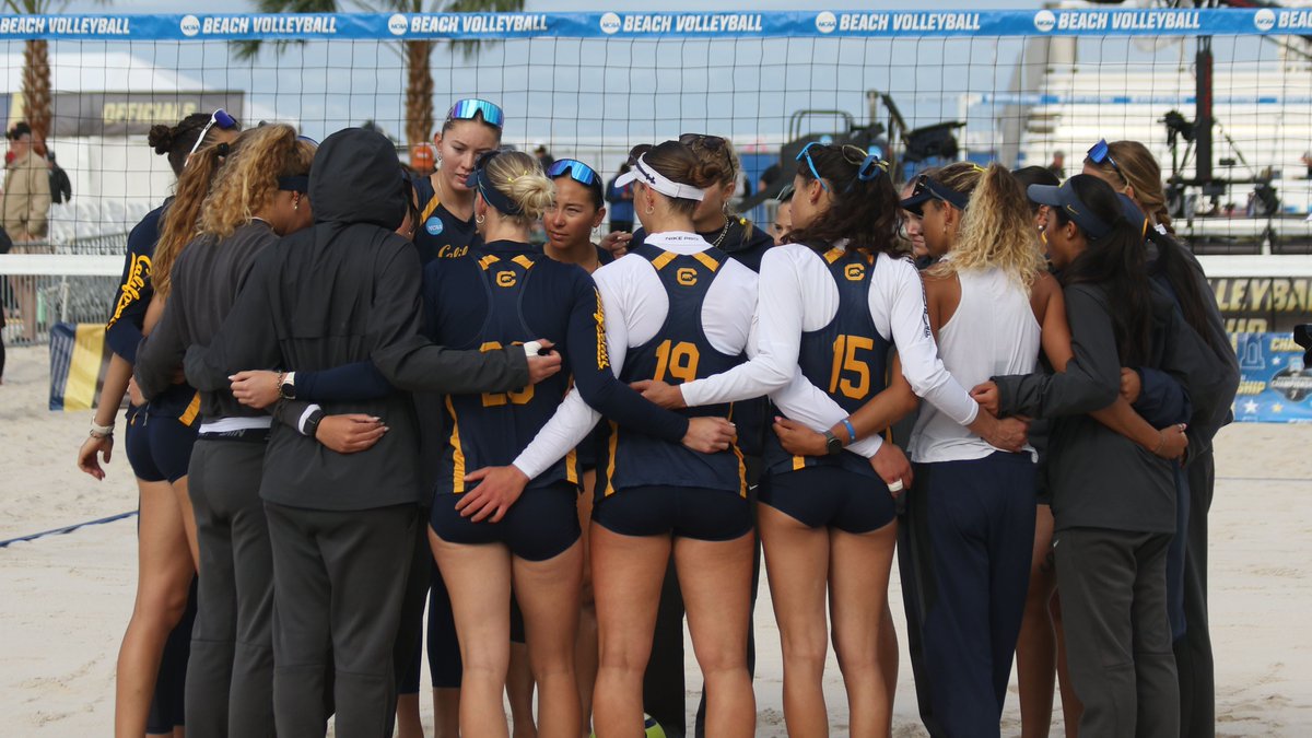 Cal Beach Volleyball tweet media
