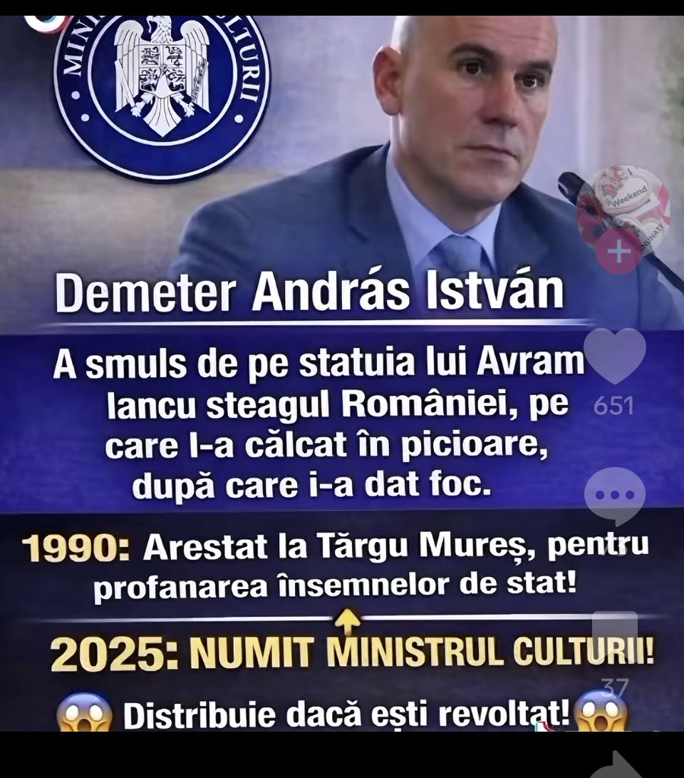 Oana Uluiteanu tweet media