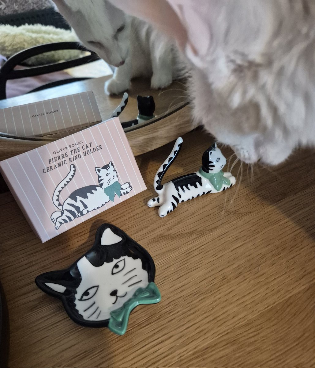 johnstf's tweet image. Mum got a ring holder to match her little dish. She wonders for how long Pierre the cat can keep his tail. 🐈‍⬛️😹@OliverBonas #CatsOfTwitter #meezer
