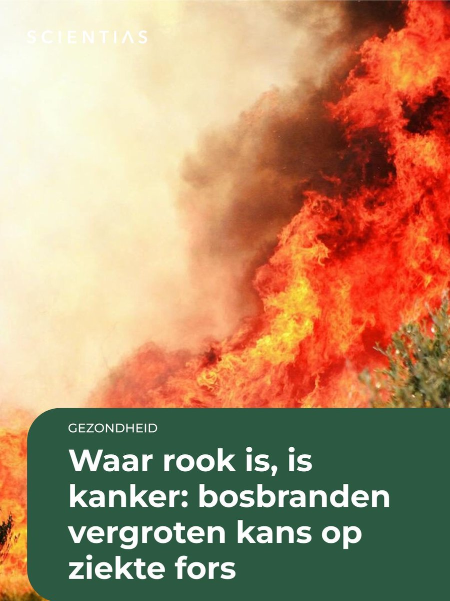 Matthijs Pontier, PhD 🏴‍☠️ Piratenpartij tweet media